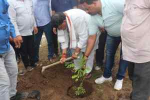 मंत्री पी.सी शर्मा ने किया वृक्षारोपण और वृक्ष लगाने के दिए संदेश