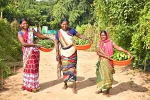 भारत में कृषि अधोसंरचना की मजबूती के लिए वेदांता एल्यूमिनियम कटिबद्ध